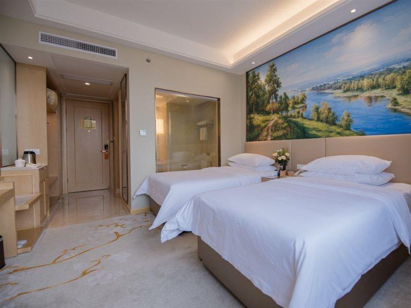 Vienna International Hotel Vuhan Dış mekan fotoğraf